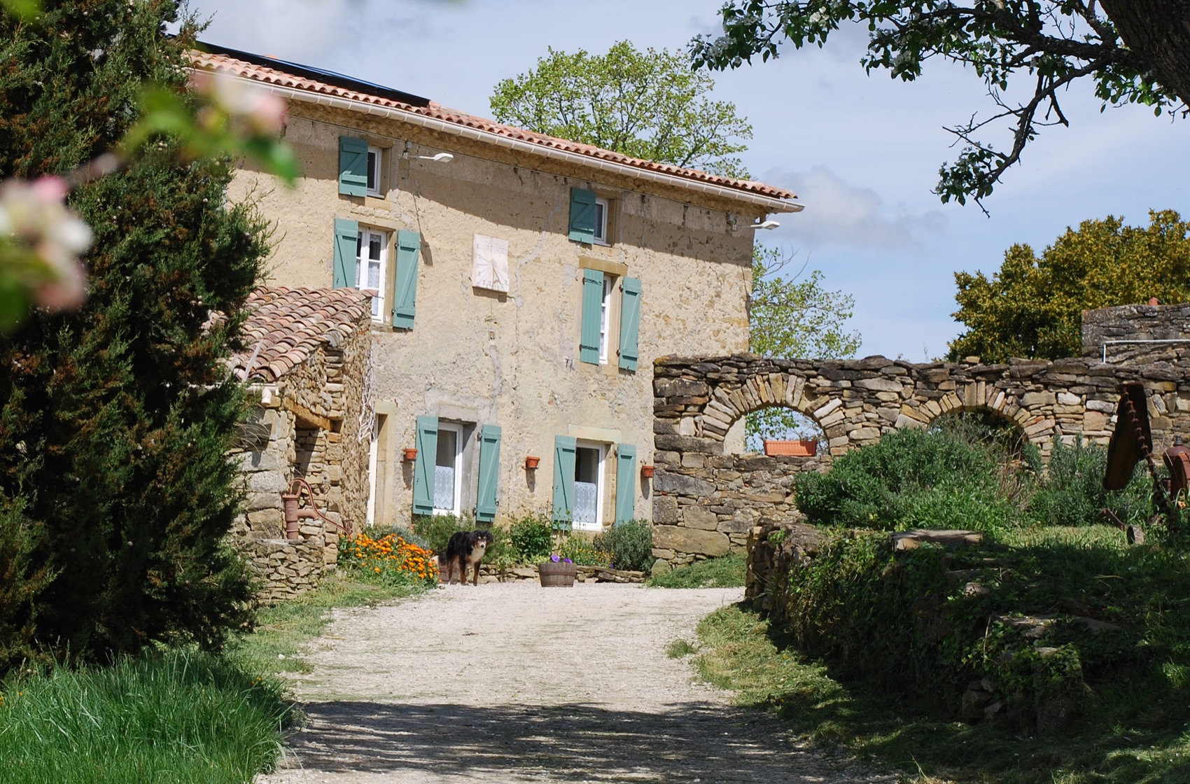 The façade in spring