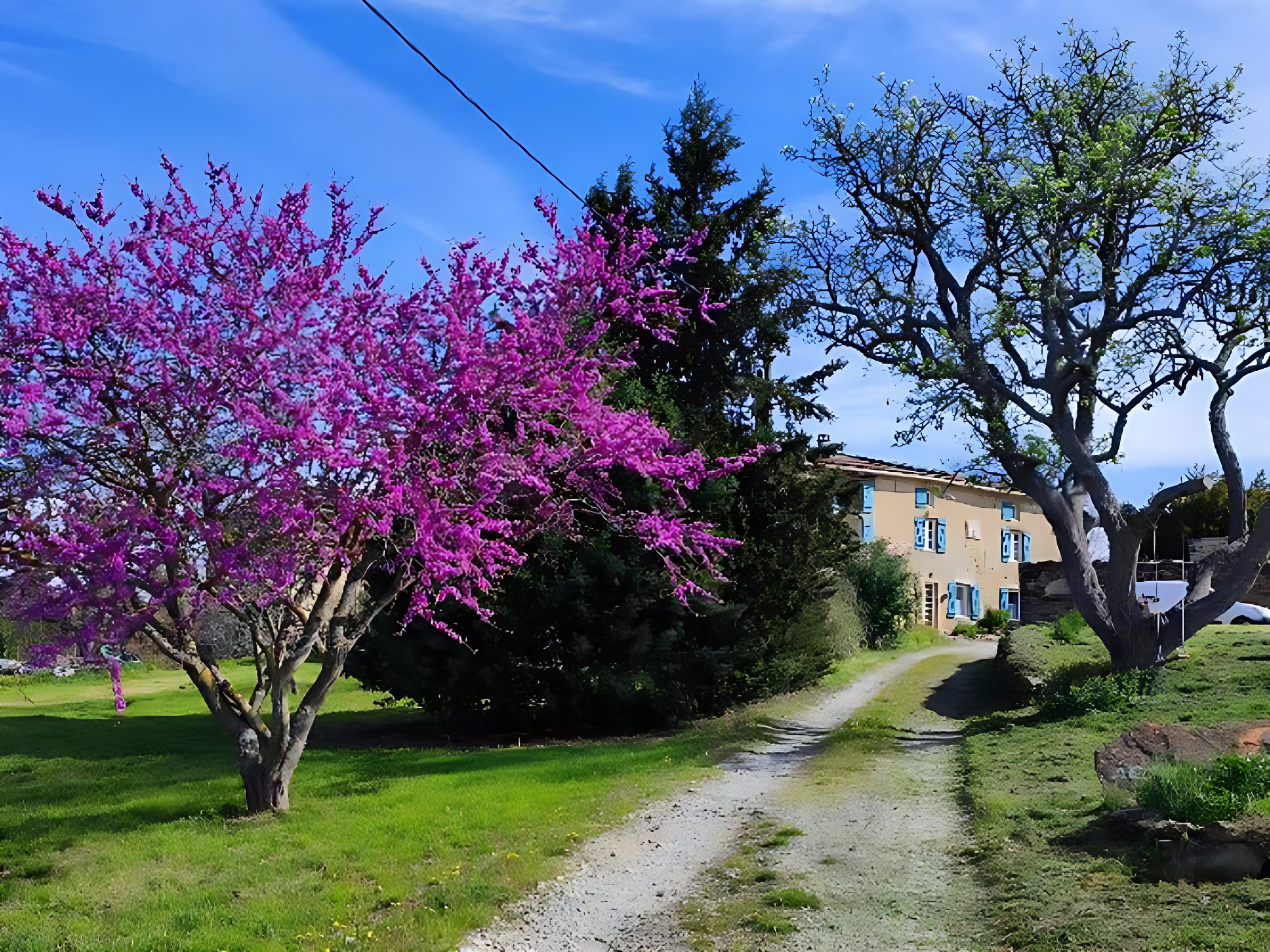 The estate in spring